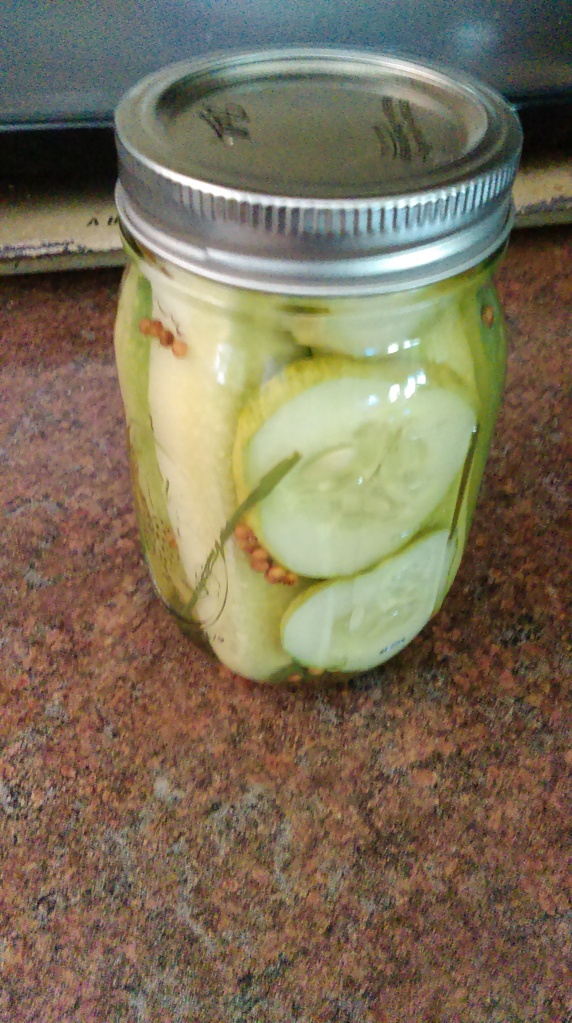 Pickles 3